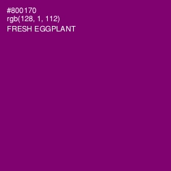 #800170 - Fresh Eggplant Color Image