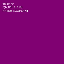 #800172 - Fresh Eggplant Color Image