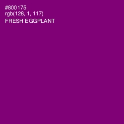 #800175 - Fresh Eggplant Color Image