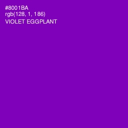 #8001BA - Violet Eggplant Color Image