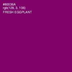 #80036A - Fresh Eggplant Color Image