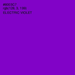 #8003C7 - Electric Violet Color Image