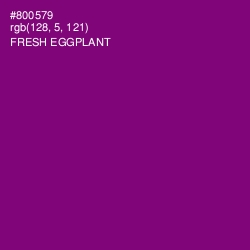 #800579 - Fresh Eggplant Color Image