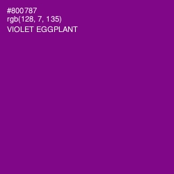 #800787 - Violet Eggplant Color Image