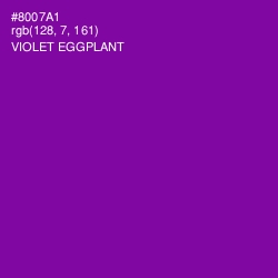 #8007A1 - Violet Eggplant Color Image