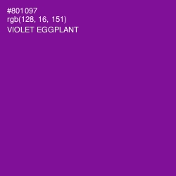 #801097 - Violet Eggplant Color Image