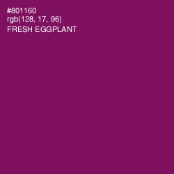 #801160 - Fresh Eggplant Color Image