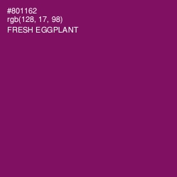 #801162 - Fresh Eggplant Color Image