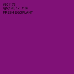 #801176 - Fresh Eggplant Color Image