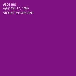 #801180 - Violet Eggplant Color Image