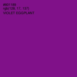 #801189 - Violet Eggplant Color Image