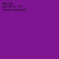 #801593 - Violet Eggplant Color Image