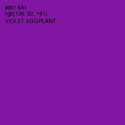 #8016A1 - Violet Eggplant Color Image