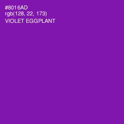 #8016AD - Violet Eggplant Color Image