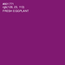 #801771 - Fresh Eggplant Color Image