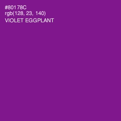 #80178C - Violet Eggplant Color Image