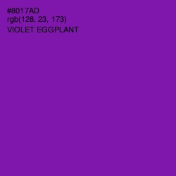 #8017AD - Violet Eggplant Color Image