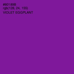 #80189B - Violet Eggplant Color Image