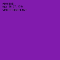 #801BAE - Violet Eggplant Color Image