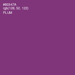 #80347A - Plum Color Image