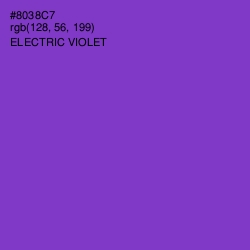#8038C7 - Electric Violet Color Image