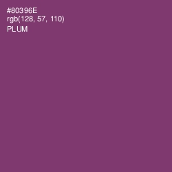 #80396E - Plum Color Image