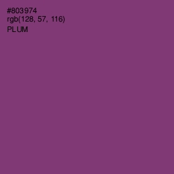 #803974 - Plum Color Image