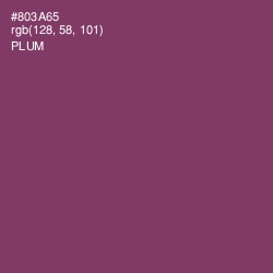 #803A65 - Plum Color Image