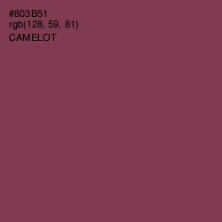 #803B51 - Camelot Color Image