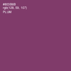 #803B6B - Plum Color Image