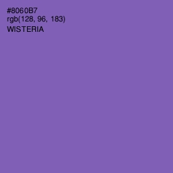 #8060B7 - Wisteria Color Image