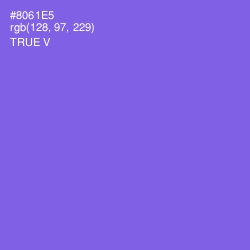 #8061E5 - True V Color Image