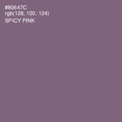 #80647C - Spicy Pink Color Image