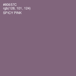 #80657C - Spicy Pink Color Image