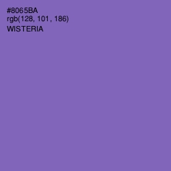 #8065BA - Wisteria Color Image