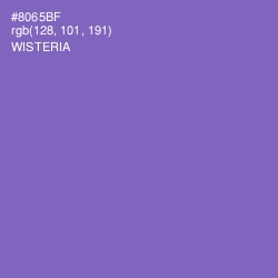 #8065BF - Wisteria Color Image