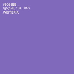 #8068BB - Wisteria Color Image