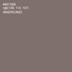 #80706B - Americano Color Image