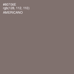 #80706E - Americano Color Image