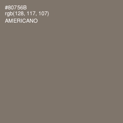 #80756B - Americano Color Image