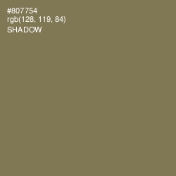 #807754 - Shadow Color Image