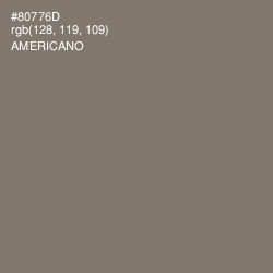 #80776D - Americano Color Image