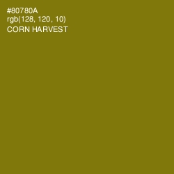 #80780A - Corn Harvest Color Image