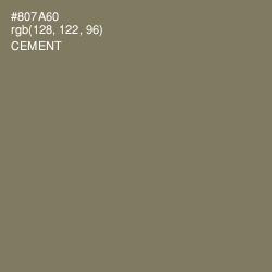 #807A60 - Cement Color Image