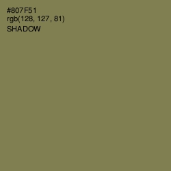 #807F51 - Shadow Color Image