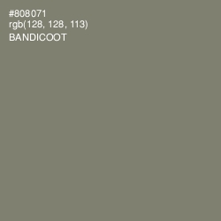 #808071 - Bandicoot Color Image