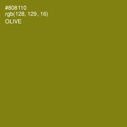 #808110 - Olive Color Image