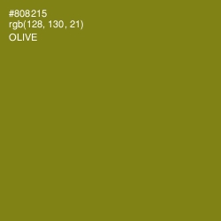 #808215 - Olive Color Image