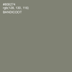 #808274 - Bandicoot Color Image