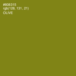 #808315 - Olive Color Image